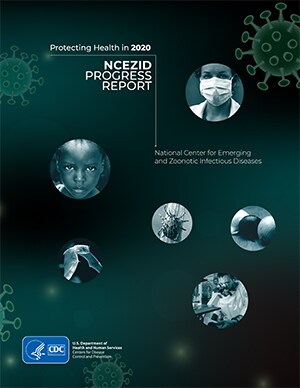 Protecting Health in 2020 NCEZID Progress Report PDF cover