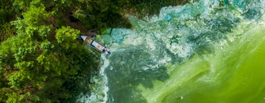 Blooming green water. Green algae polluted river, aerial view