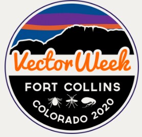 Vector Week 2020 badge