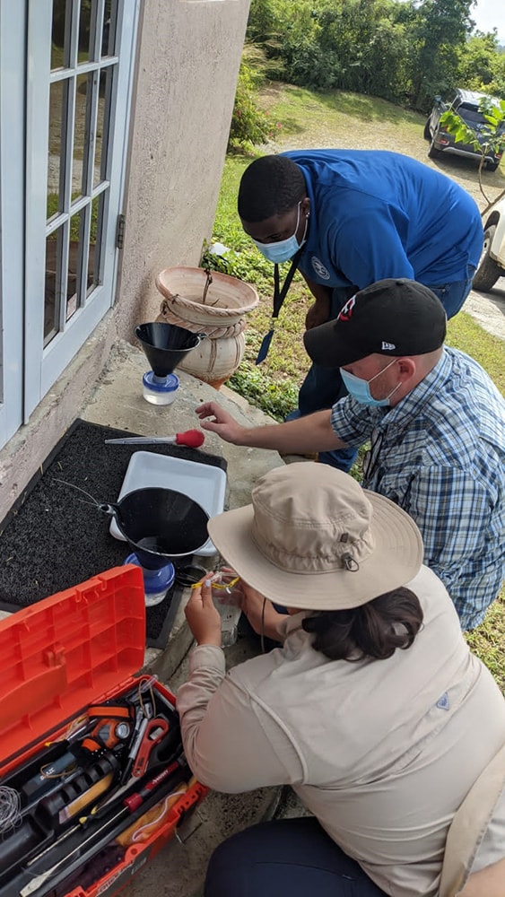 Staff from CDC, US Virgin Islands Department of Health, and the Puerto Rico Vector Control Unit collect mosquito larvae.