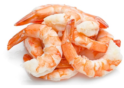 a group of shrimp