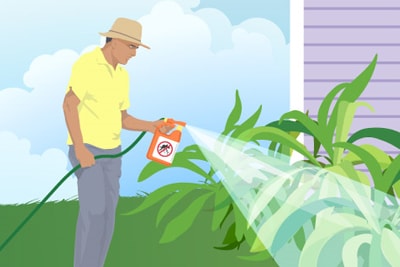 illustration of man spraying yard plants with pesticide