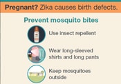 Cropped image from a larger infographic of a zika doorhanger