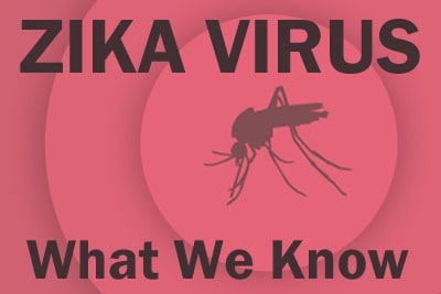 Illustration of a mosquito silhouette against a background of concentric circles with a gradient pink salmon color getting darker with each circle. With the words: Zika Virus. What We Know