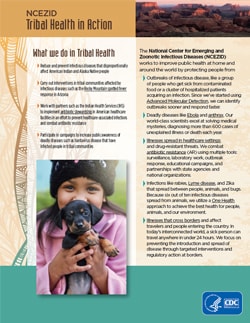 Thumbnail image of cover to PDF version of Tribal Health in Action