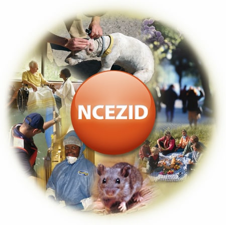 A collage of the kind of work conducted by the National Center for Emerging and Zoonotic Infectious Diseases.
