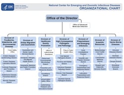 thumbnail image linking to the NCEZID org structure