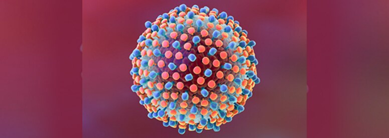 Image of the Hepatitis Virus