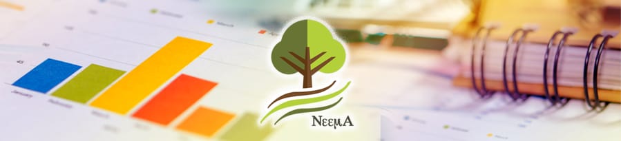 NEEMA funded projects