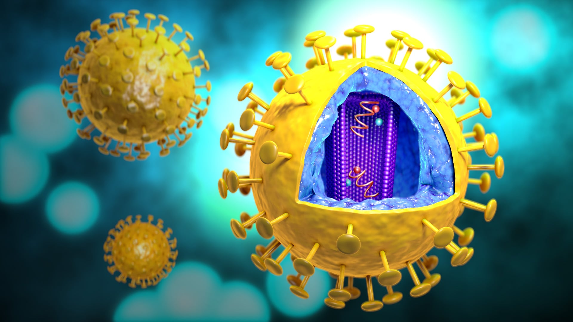 Hiv Aids Paper Human Immunodeficiency Virus