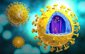 Illustration of the Human Immunodeficiency Virus