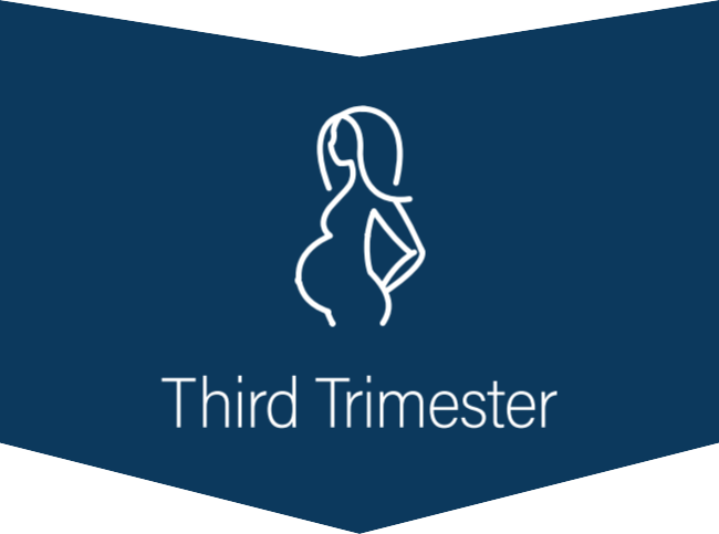 Downward chevron with a profile of a pregnant female body - Third Trimester