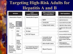 Targeting High-Risk Adults for Hepatitis A and B Flow chart illustrating the process for targeting High-Risk Adults for Hepatitis A and B, including NYSDOH, Local Health Departments, Other Local Agencies and Organizations, Risk Populations
