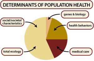 uses of determinants in daily life