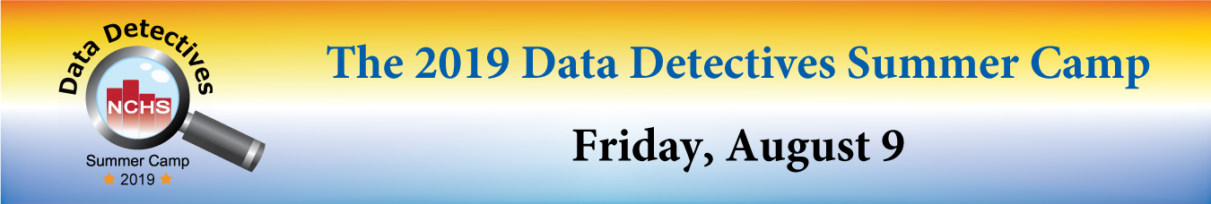 Data Detectives banner