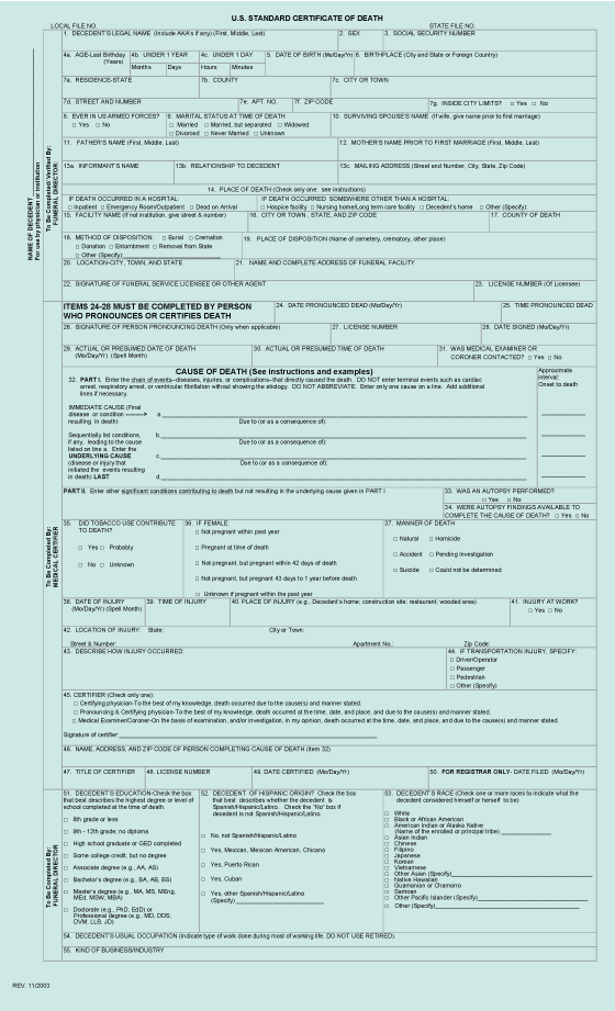United State Standard Birth Certificate