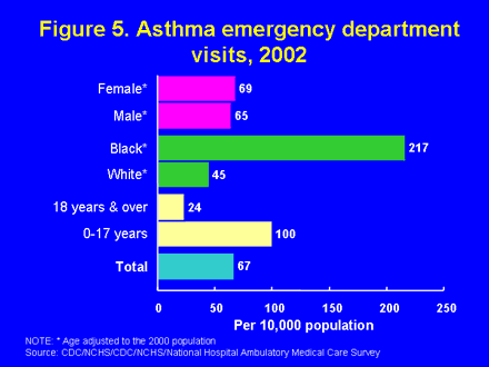 Figure 5. Asthma emergency department visits, 2002