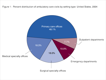 Figure 1. Percent distribution of ambulatory care visits by setting type: United States, 2004.