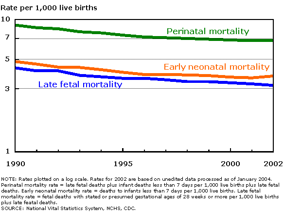 Figure 1 is a line chart plotting perinatal, late fetal, and early neonatal mortality rates from 1990 to 2002. All lines show a steady downward trend