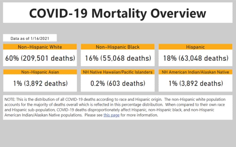mortality data executive summary