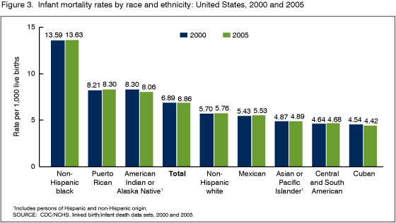 Figure 3 is a bar chart showing infant mortality rates by race and ethnicity in the United States, 2000 and 2005