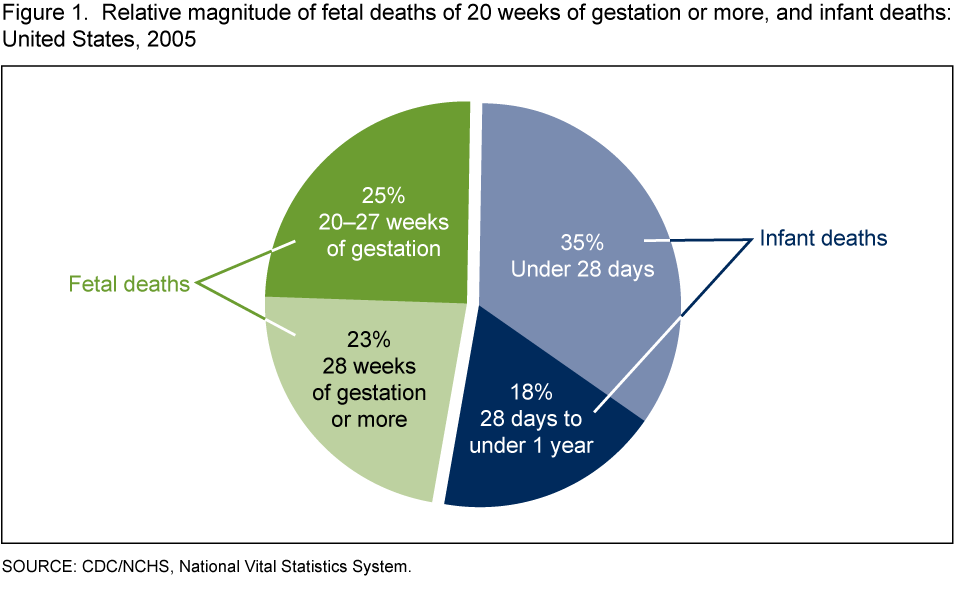 Baby Survival Rate By Week Chart