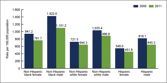Figure 2 is a bar chart showing death rates by race and sex for 2000 and 2011