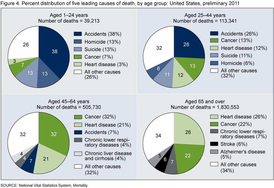 Pie Chart Of Death Causes