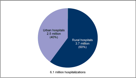 Figure 1 is a pie chart showing the number and percent distribution of hospitalized rural residents by rural or urban hospital location in 2010.