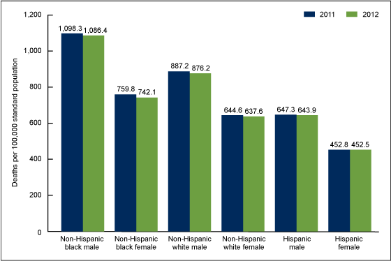 Figure 2 is a bar chart showing the age-adjusted death rates by race, Hispanic origin, and sex in the United States in 2011 and 2012.