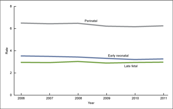 Figure 2 is a line chart showing late fetal, early neonatal, and perinatal mortality rates from 2006 through 2011.