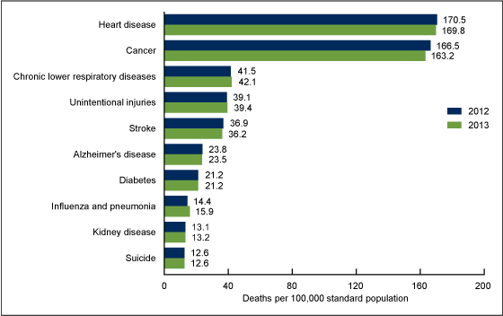 Figure 3 is a bar graph showing age-adjusted death rates for the 10 leading causes of death in 2012 and 2013.