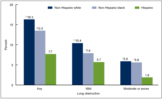 Figure 3 is a bar chart showing the age-adjusted percentage of adults aged 40 to 79 with lung obstruction by race and Hispanic origin and severity for 2007 through 2012