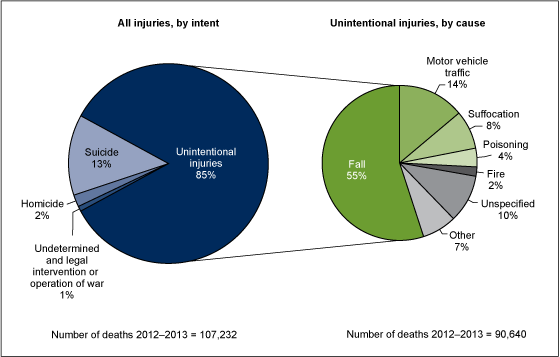 Figure 1 is two pie charts showing the percent distribution of injury deaths by intent and cause among adults aged 65 and over for combined years 2012 and 2013.  
