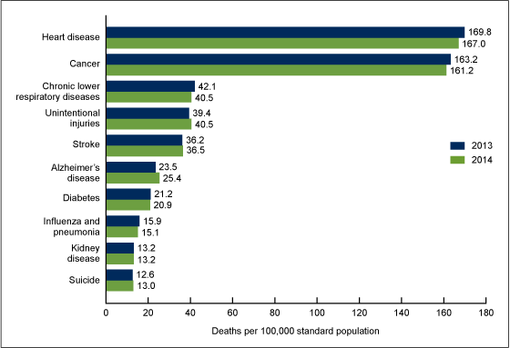 Figure 3 is a bar graph showing age-adjusted death rates for the 10 leading causes of death in the United States for 2013 and 2014.