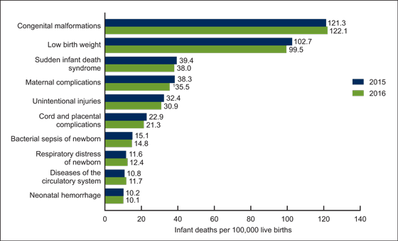 Figure 5 is a bar graph showing infant mortality rates for the 10 leading causes of infant death in 2016 in the United States in 2015 and 2016.