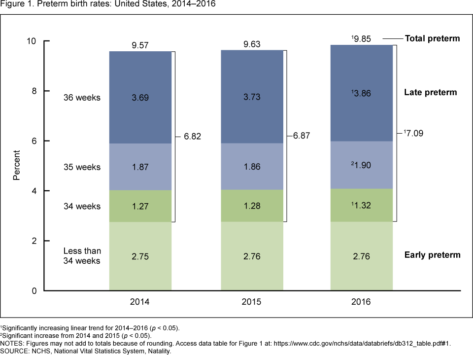 Premature Baby Survival Rate Chart