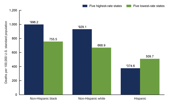 Figure 3 is a bar chart showing the average age-adjusted death rates for the five states with the highest rates and the five states with the lowest rates, by race and Hispanic origin: United States, 2017. 