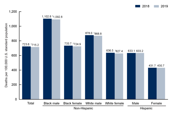 Figure 2 is a bar graph showing the age-adjusted death rates by race, Hispanic origin, and sex in the United States in 2018 and 2019.
