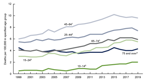 Figure 2 is a six-line chart showing trends in rates in suicide deaths for females by age group from 1999 through 2019.