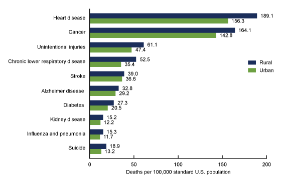 Figure 3 is a bar chart showing age-adjusted death rates for urban and rural areas for the 10 leading causes of death in the United States in 2019.