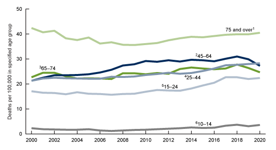 Figure 3 is a line chart of suicide rates for males by age groups for the United States for 2000–2020.