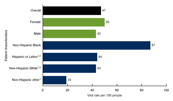 Figure 3 is a bar chart showing emergency department visit rates by sex and race and ethnicity in 2019.