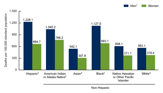 Figure 2 is a vertical bar chart showing age-adjusted death rates due to COVID-19 for age group 65 and over by single race, Hispanic origin, and sex for 2020.