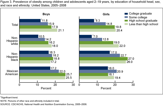 Figure 3 is a bar chart showing the prevalence of obesity among children and adolescents 2-19 years of age by sex, race and ethnicity, and education of household head in the United States for the combined years 2005-2008.