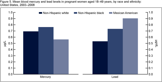 Figure 5 is a bar chart showing geometric mean lead and mercury levels among pregnant women by race and ethnicity
