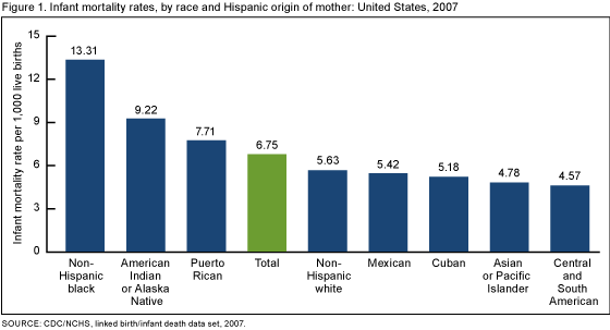 Figure 1 is a bar chart showing infant mortality rates by race and ethnicity for 2007.  