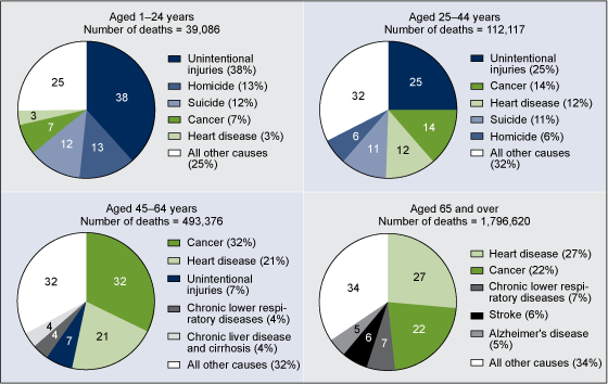 Figure 4 shows four individual pie charts, each showing a percent distribution of leading causes of death for different age groups. Figures are based on preliminary data for 2010.
