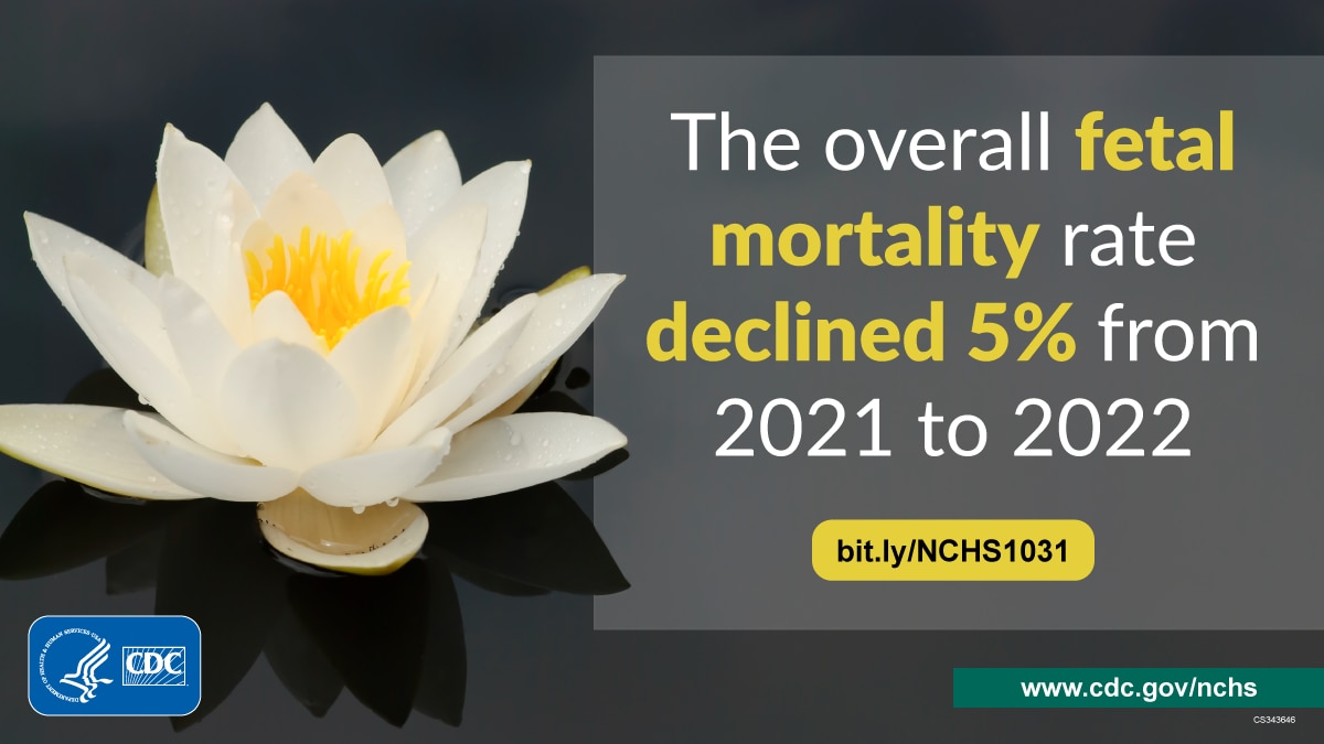 An image on the left shows a white flower floating on the water, and a transparent background box on the right states the overall fetal mortality rate declined 5% from 2021 to 2022.