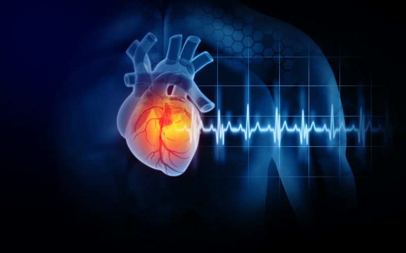 Heart Disease Prevalence - Health, United States